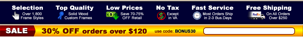 Custom Frame Store Benefits